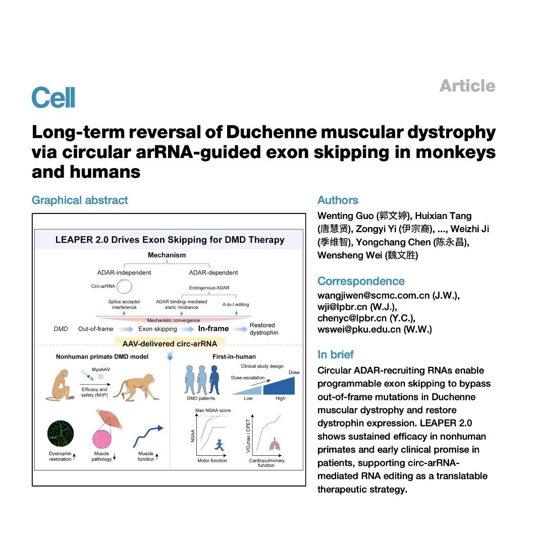 1200-circ-arRNA Guided Exon Skipping for DMD Therapy episode artwork