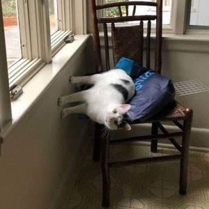 西瓜最最好吃