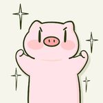 巴马小香猪