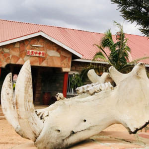 第23期：肯尼亚魔幻之旅1——荒野里的中餐馆