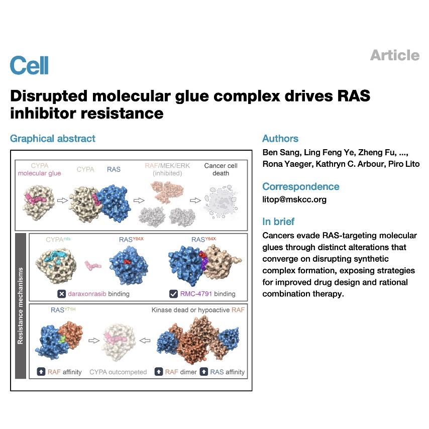 990-Mechanisms of RAS Inhibitor Resistance episode artwork