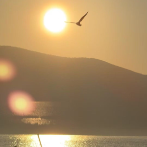 Vol.68 那个最爱逛菜市场的设计师回来了！和饺子聊生活和创作。