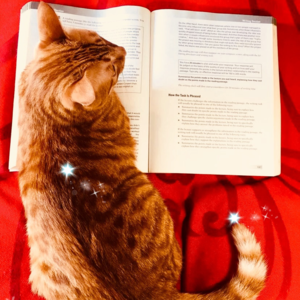 雅思口语Part 3高分语料 | Eating out 出去吃饭