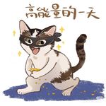 今天吃什么cc