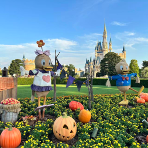 第78期：用父母是否倾其所有来定义他们是否托举我？