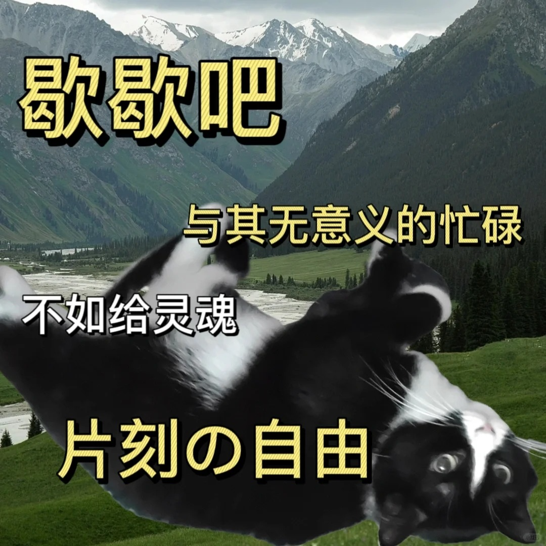 cover of episode MM003 夏天夏天悄悄过去，我们去旅行（人在囧途版）