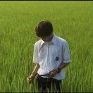 山风可解意