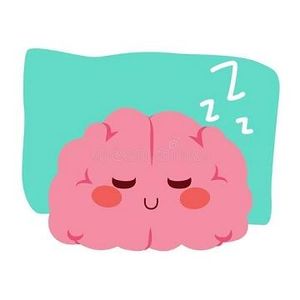 Why You Need a Good Night's Sleep?