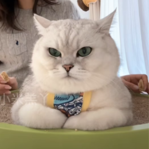 资本市场舆情解读【11月7日】