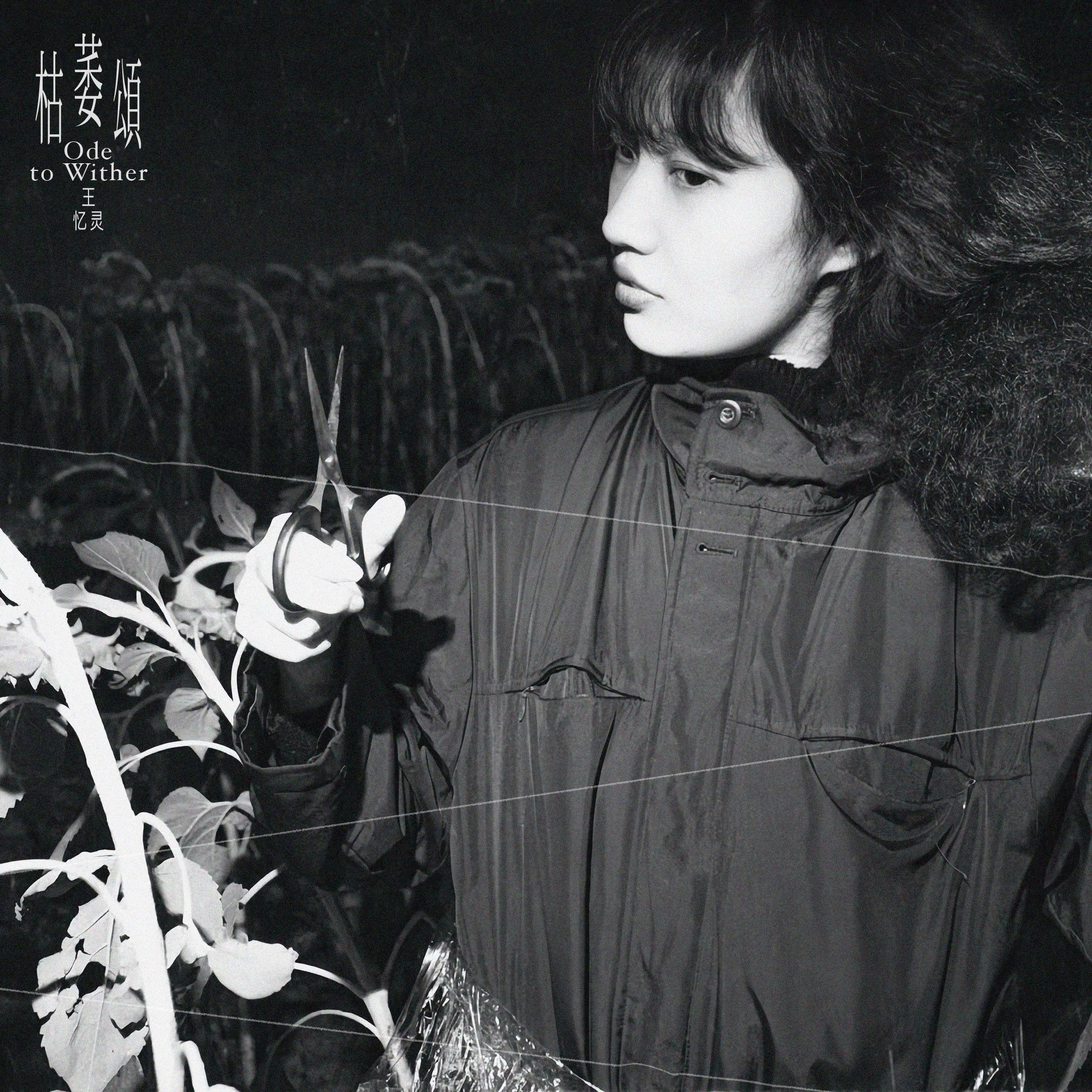 王忆灵 - 枯萎颂（Ode to Wither） episode artwork