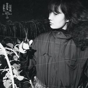 王忆灵 - 枯萎颂（Ode to Wither）