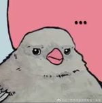 密封蜜蜂