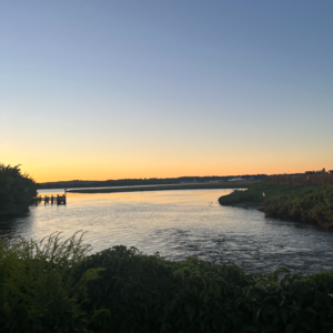 47:天生就会跑:冲破极限去探索,奔跑的意义是一场生命游戏