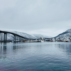 Ep 9|我相信AI,但我不相信这个价格