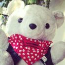 一米阳光就是晴天