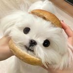在努力变好的小E