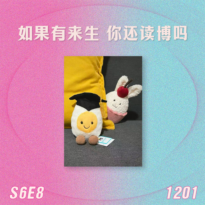 S6E8 如果有来生，你还读博吗？ episode artwork