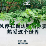 22.细说我们这代人逐渐丧失的“勇气”