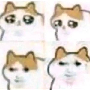 重要的经纬线⭐️