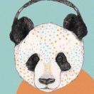 小善良先生panda