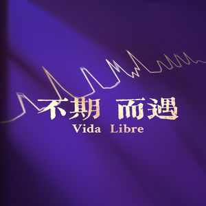 vol.104 Vida Libre - 声音日记:2026年中Rlog ①