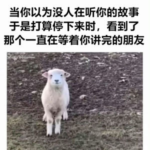 在宇宙尽头读诗