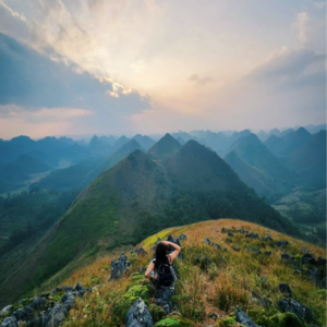 Vol 26 - 永生+极乐按钮：当意识可以上传，我们为何犹豫？