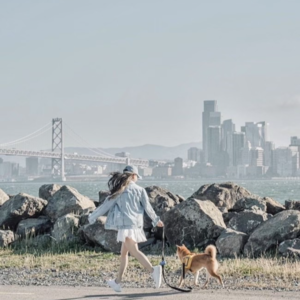 她14岁出书后,去硅谷经历了什么