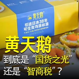 黄天鹅，到底是 “国货之光” 还是 “智商税”？