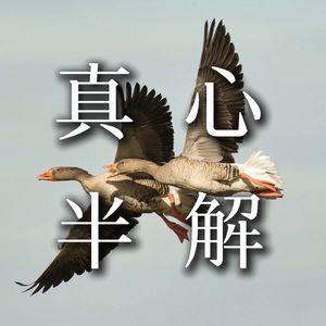 真心半解