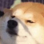 叽里呱啦的超超