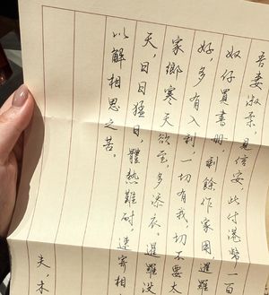 71 给阿嬷的情书：休言女子非英物，侠骨何分雄与雌