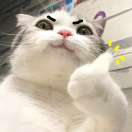 摸鱼inging