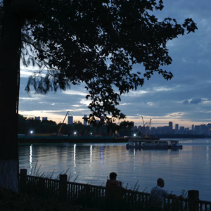 vol.4 2026，像树一样扎根，像水一样流动