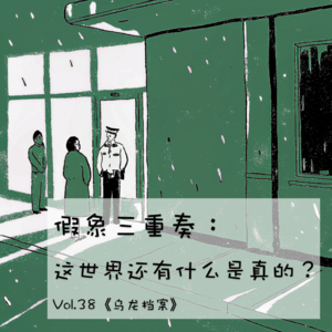 假象三重奏:这世界还有什么是真的?Vol.38 【乌龙档案】
