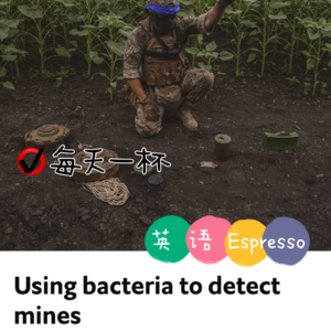 【209】探测地雷的细菌