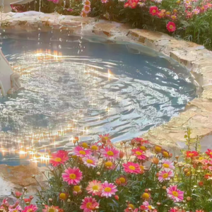 VOL134.平静才是人生值得寄托的地方：辩论赛的重点在于“论”，而非“辩”和“赛”。