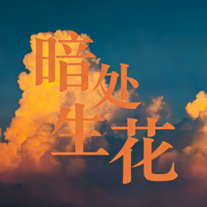 暗处生花