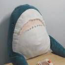 不万能青年_
