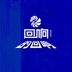 回响的回响