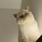 憨娜憨娜憨