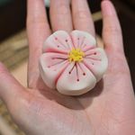 陈蘑菇
