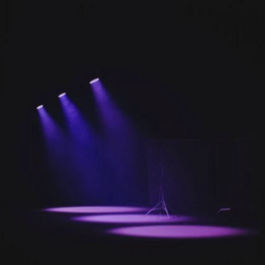 2025年1-4月｜Part 2 现场表演