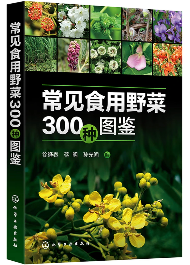 常见食用野菜300种图鉴