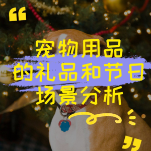 宠物用品的礼品和节日场景分析