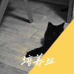 032 古典黑胶：黄金时代的提琴之声——古典音乐推荐系列