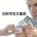 今天码字了吗