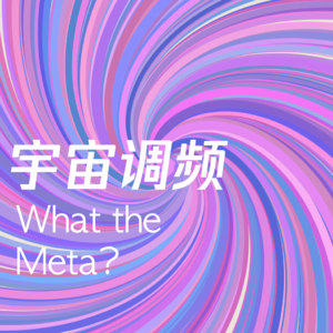 What the Meta 宇宙调频