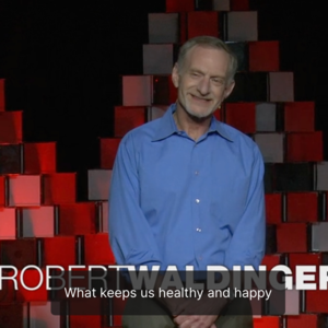 EP05 与自我对话：从最长成人发展研究中获取幸福密码～