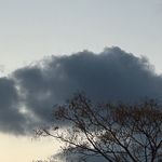 沐心蓝